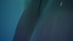 Сексуальная Светлана Ходченкова оголила грудь в сериале «Краткий курс счастливой жизни» фото #4