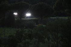 Голая попа Эмили Ратаковскив фильме Welcome Home фото #9