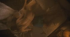 Голая Лайн Рени в фильме «Охотники за сокровищами» фото #4