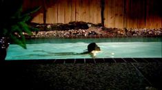 Голая Майра Леаль в фильме «Дрянь» фото #6