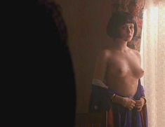 Голая грудь Нины Семашко в фильме «Дикая орхидея 2. Два оттенка грусти» фото #10