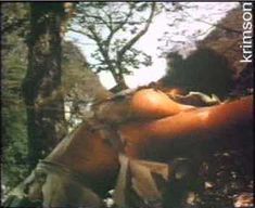 Голая Пэм Гриер в фильме «Женщины в клетках» фото #5