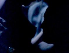 Голая Сара Джеймс в фильме «Секс, ложь и видео» фото #19