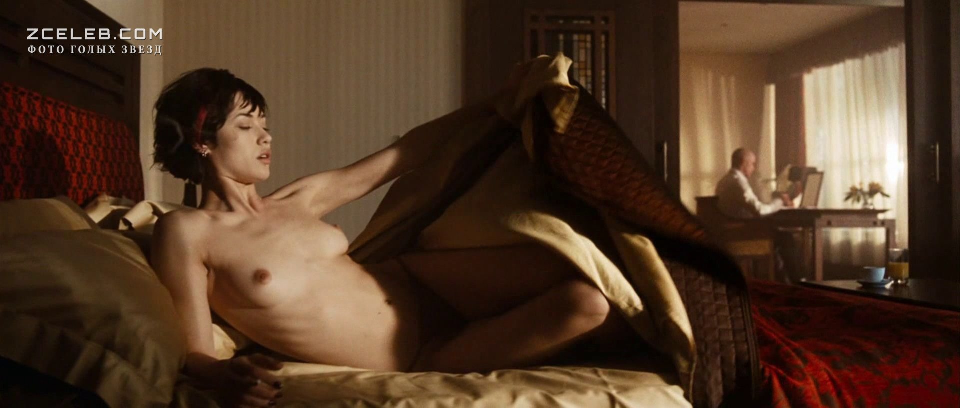 Сперматозоид қандай көрінеді? (Бейне)