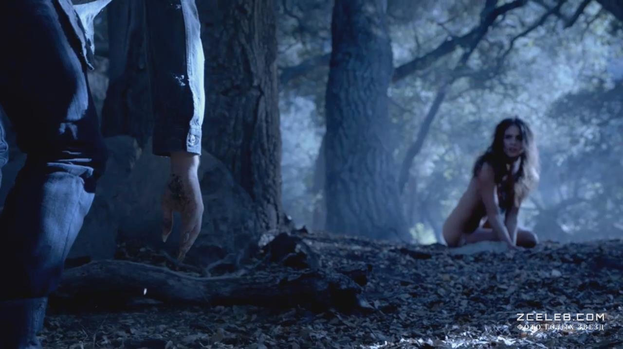 Порно әмбебап макс