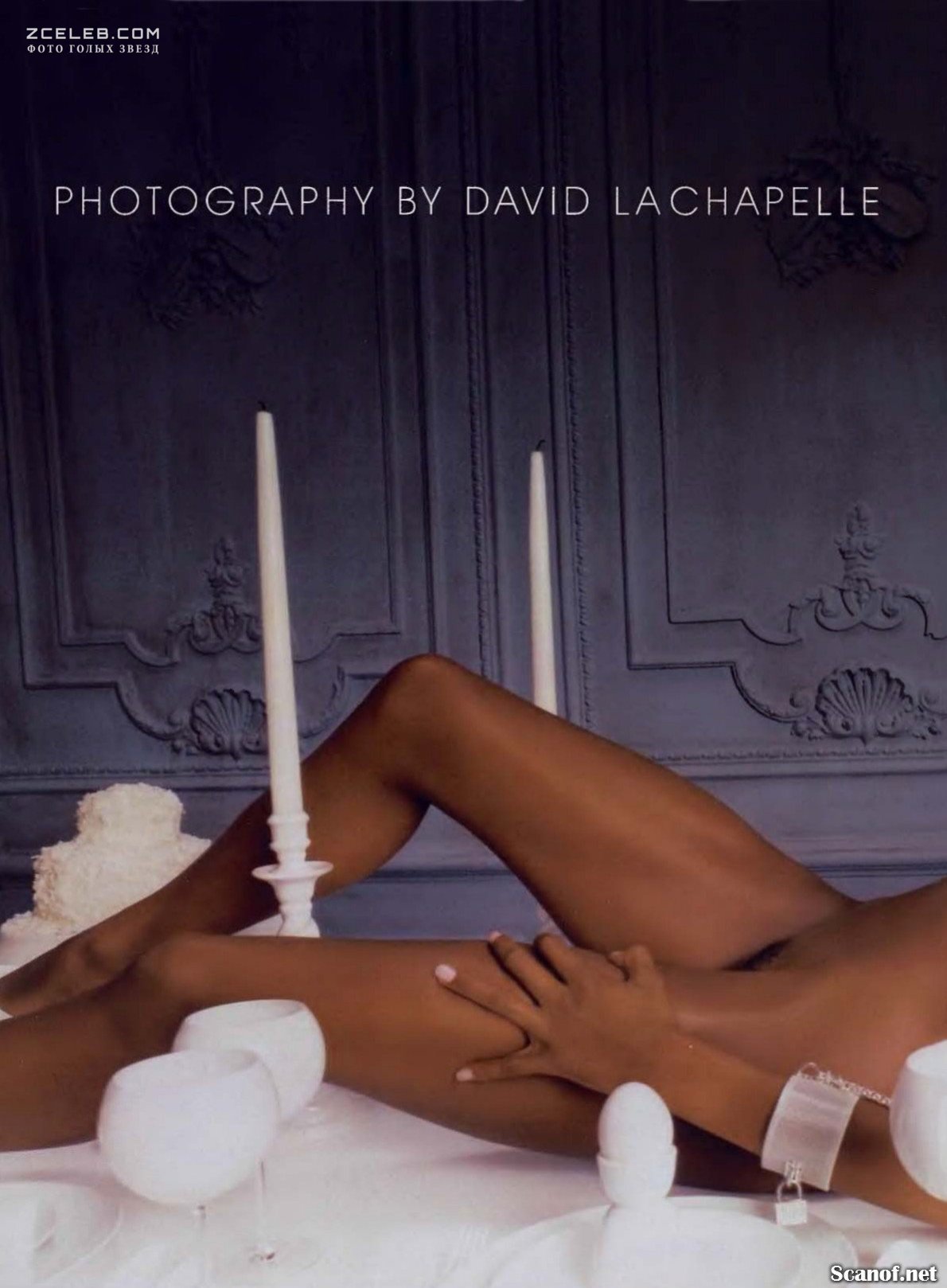 Микроскоппен жыныс мүшесінің беті